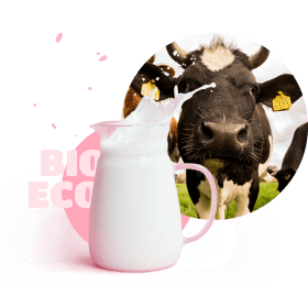 Milk from our cows